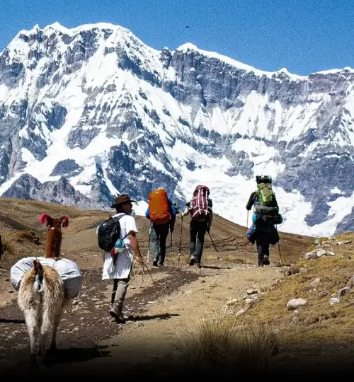 Llama Trek in Peru: A Unique Andean Experience
