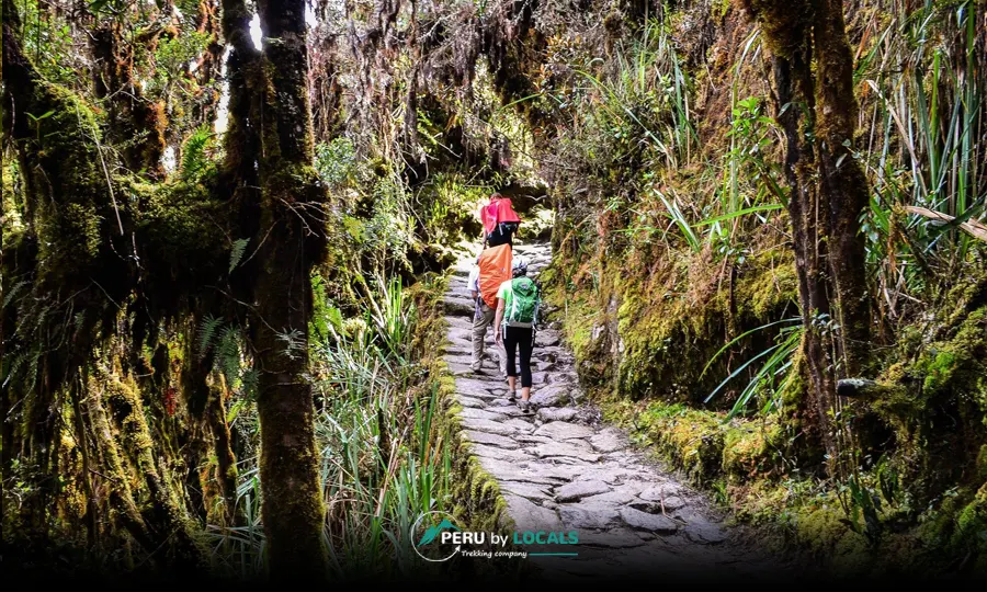 Mistakes on the Inca Trail